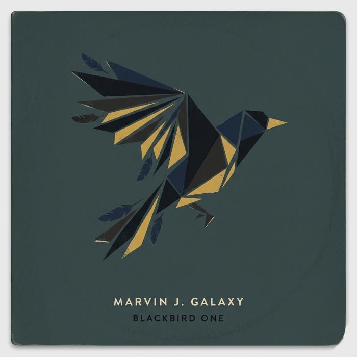 Blackbird One